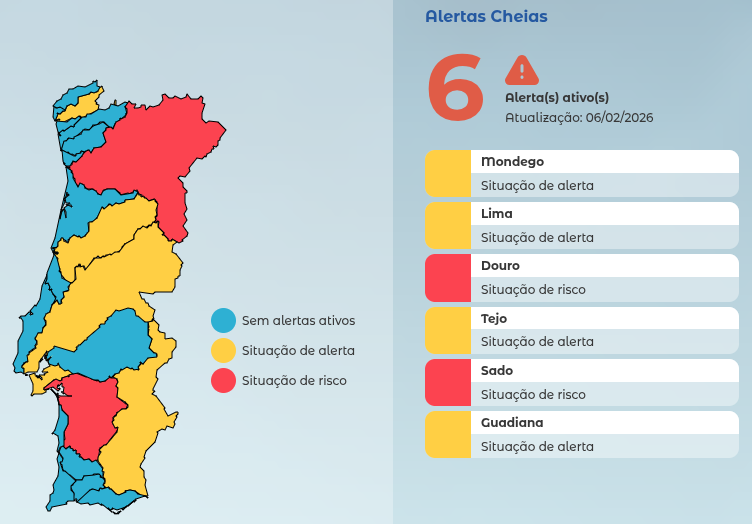 Risco Cheia - Leonardo